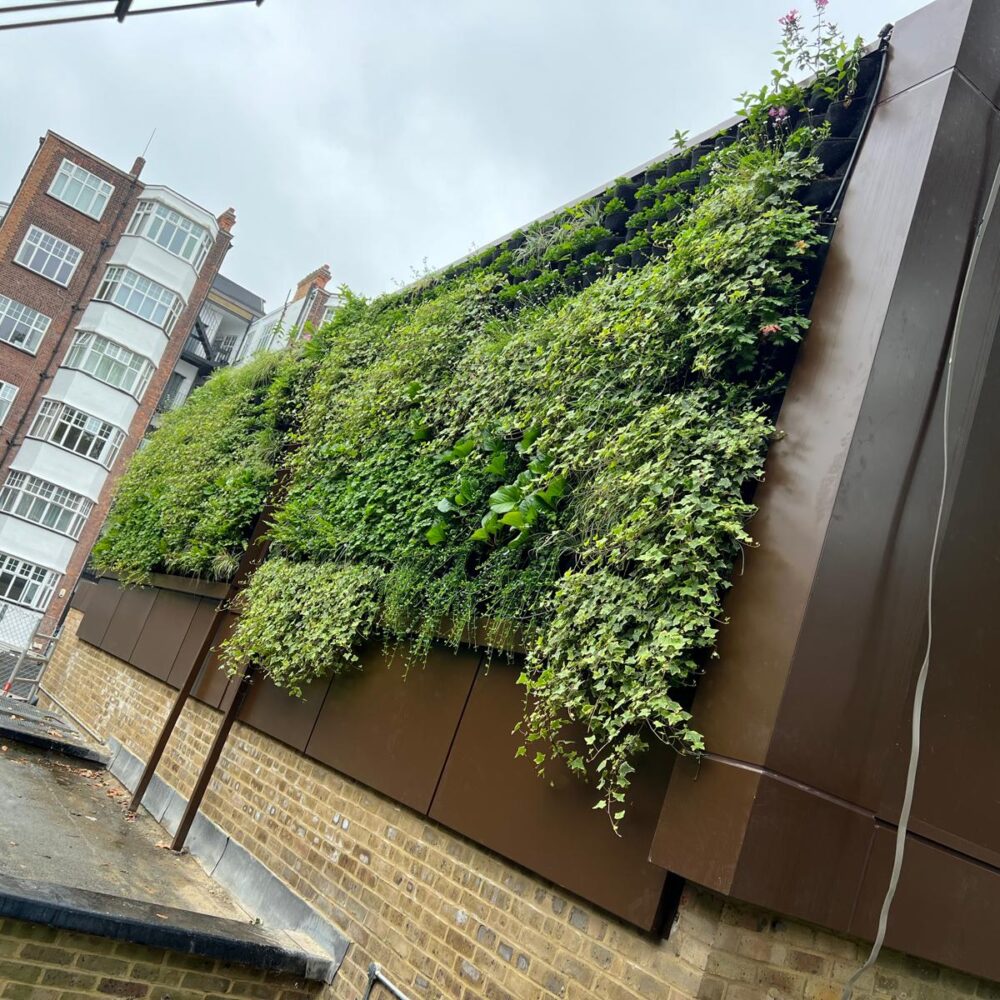 High-performance glazing and window systems at The Hall School