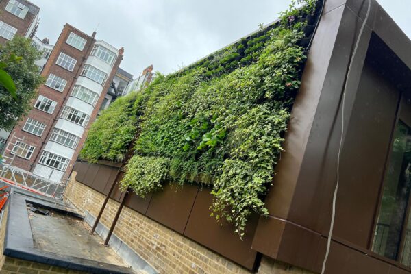 High-performance glazing and window systems at The Hall School