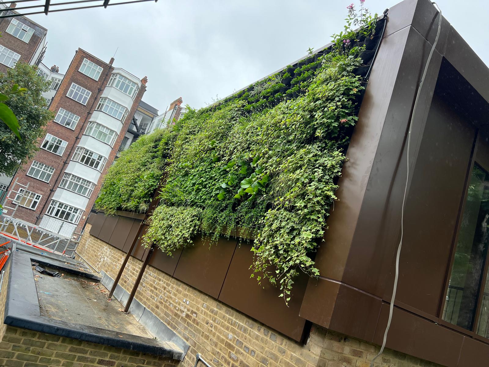 High-performance glazing and window systems at The Hall School